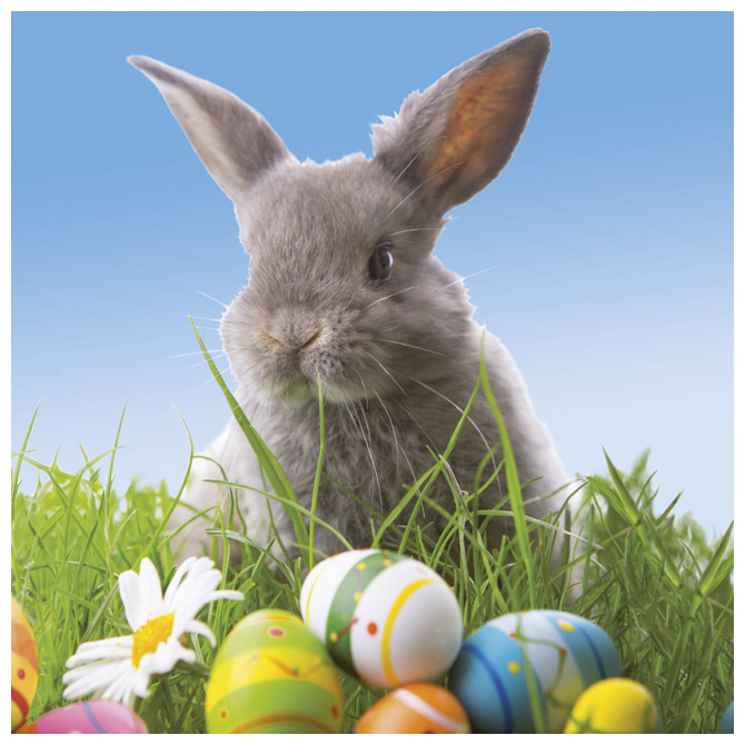 Salvete troslojne 33x33cm pk20 Cute bunny Herlitz 11439635!!