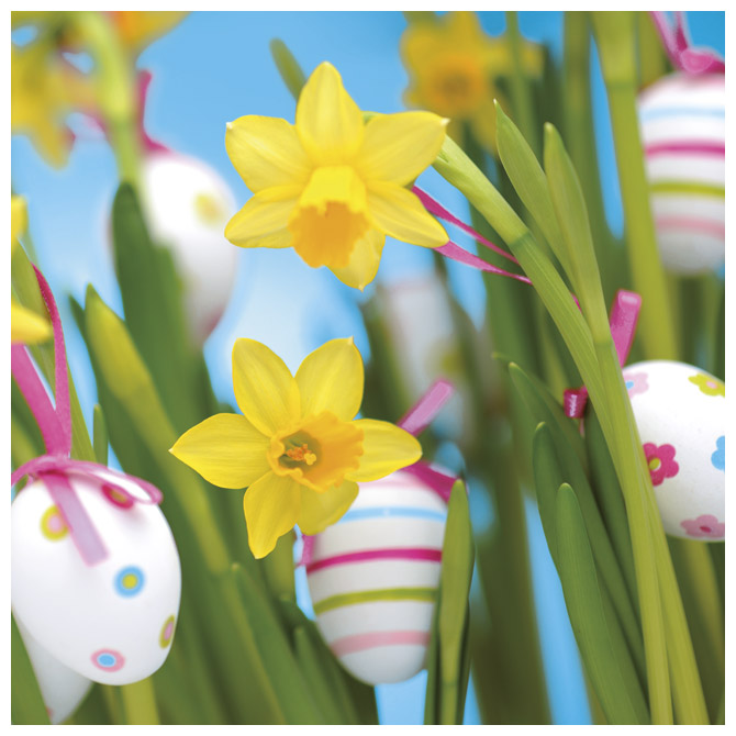 Salvete troslojne 33x33cm pk20 Easter decoration Herlitz 11341450!!