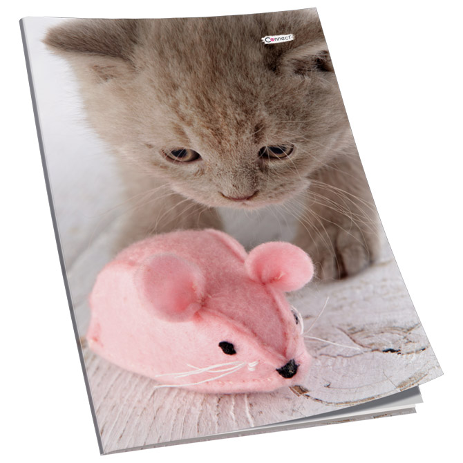 Teka meki uvez A5 karo 50L 80g Premium Connect sortirani motivi!!