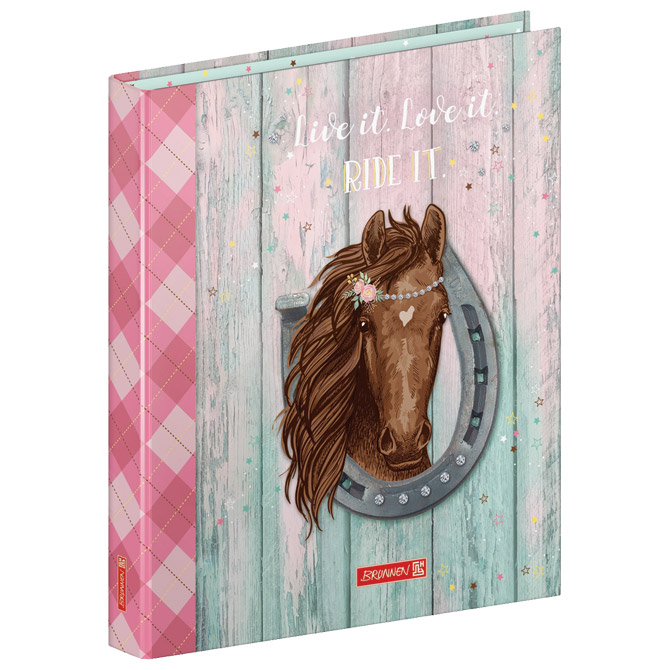 Mapa uložna 2ringa-fi20mm A4 karton Ponylove Brunnen 10-65580 742!!