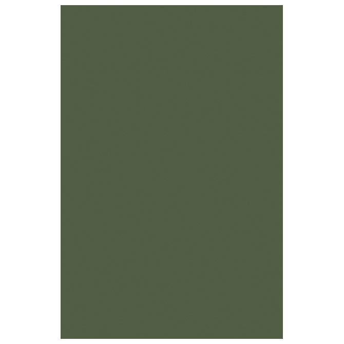 Filc ukrasni A4 pk10 Knorr Prandell 21-8436487 maslinasto zeleni!!