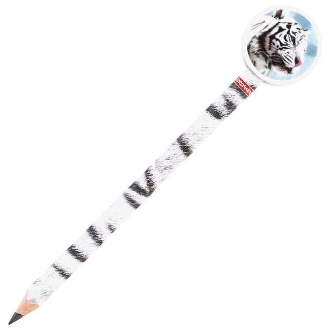 Olovka grafitna HB Jumbo trokutasta s gumicom Fans 17 Brunnen 10-29056 441!!