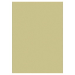 [000006887] Papir u boji A4 130g pk100 Heyda 20-47116 94 zlatni