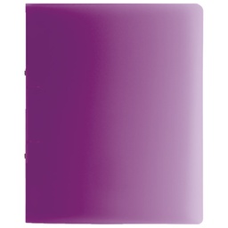 [000008396] Mapa uložna 2ringa-fi16 mm A4 pp Fact Brunnen 10-65516 98 sort