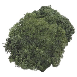 [000008528] Mahovina islandska umjetna 50g Knorr Prandell 21-6694462 zelena