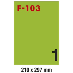 [000024773] Etikete ILK 210x297 mm pk100L Fornax F-103 zelene