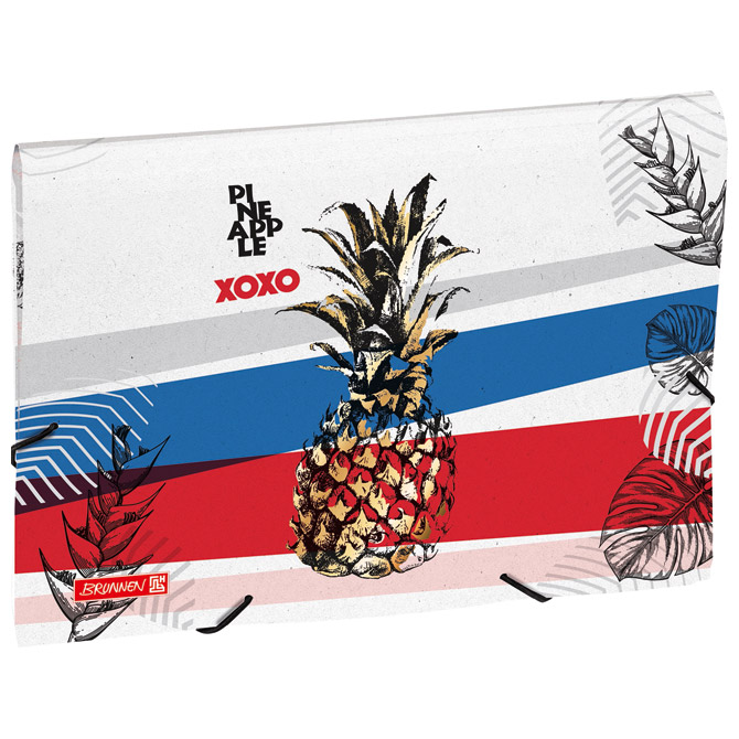 Mapa za kućni budžet 12 pregrada s gumicom A4 Reverse 19 Pineapple Brunnen 10-20240 651!!