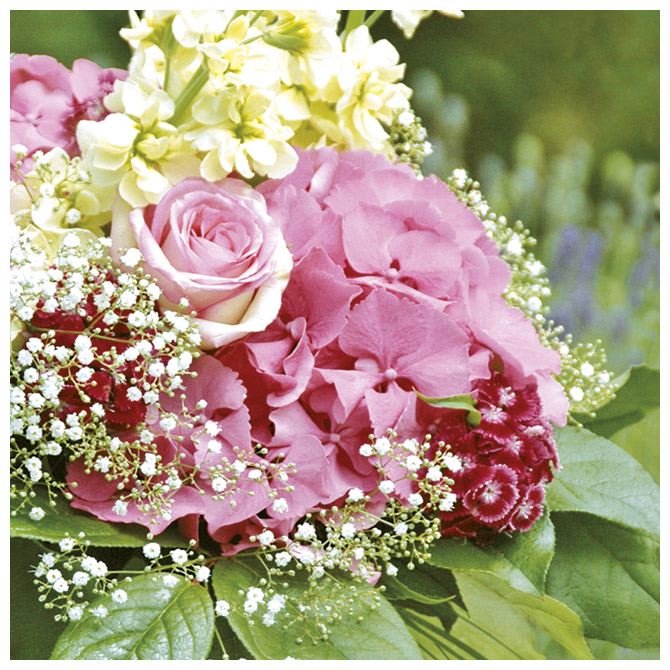 Salvete troslojne 33x33cm pk20 Magic Roses Herlitz 11166444!!