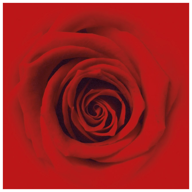 Salvete troslojne 33x33cm pk20 Rose Rouge Herlitz 11087913!!