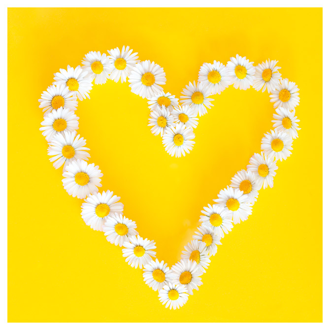 Salvete troslojne 33x33cm pk20 Daisies in love Herlitz 11309622!!