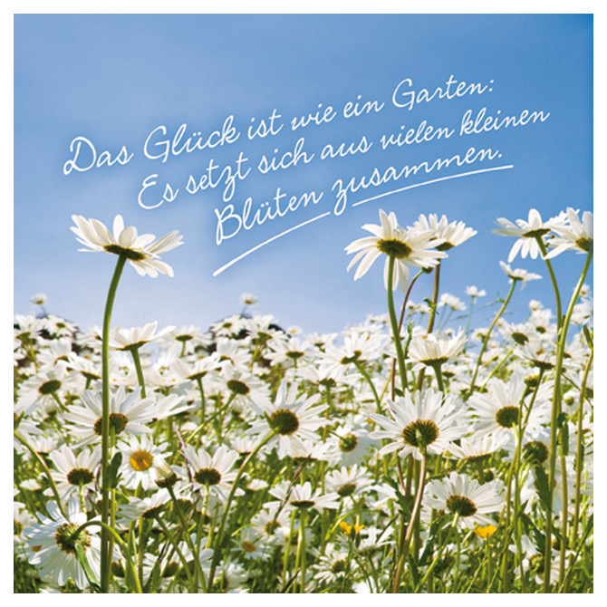 Salvete troslojne 33x33cm pk20 Poetry Herlitz 11166337!!