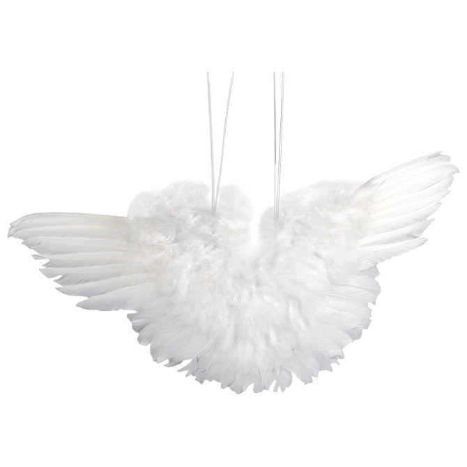 Perje Krila 11cm Knorr Prandell 21-8028772!!