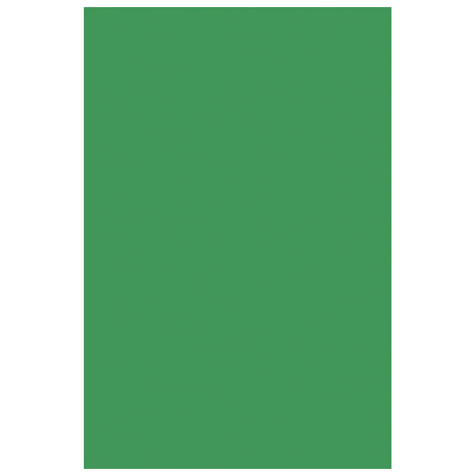 Filc ukrasni A4 pk10 Knorr Prandell 21-8436437 zeleni