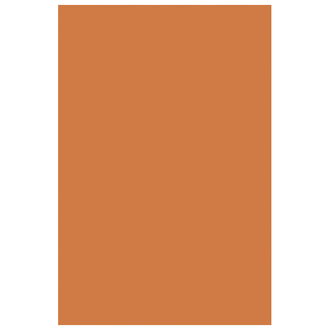 Filc ukrasni A4 pk10 Knorr Prandell 21-8436117 narančasti