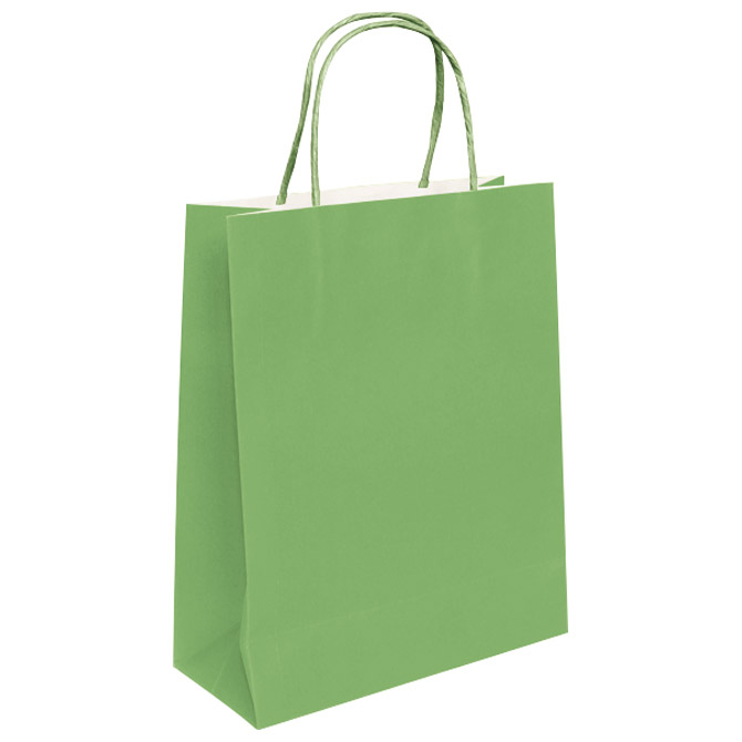 Vrećice ukrasne natron 18x22x8 cm pletena ručka pk50 Duga svijetlozelene