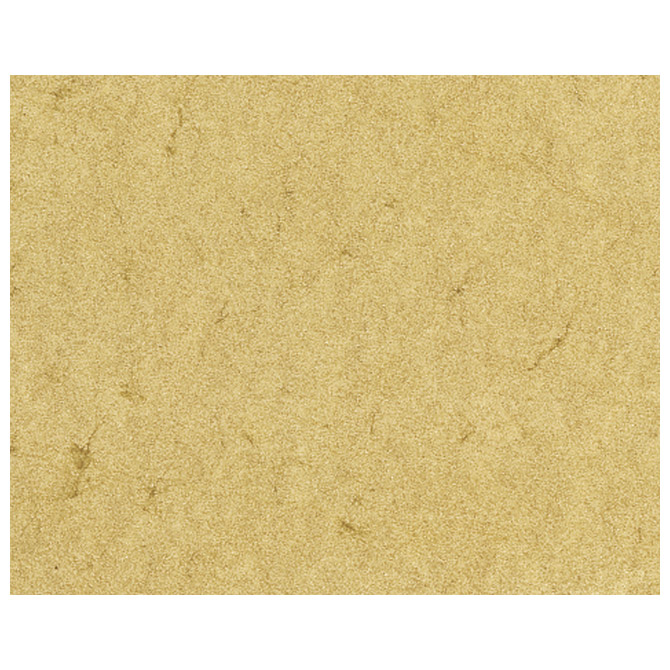 Papir ILK Elefant A4 110g pk100 Heyda 20-48310 11 šamoa!!