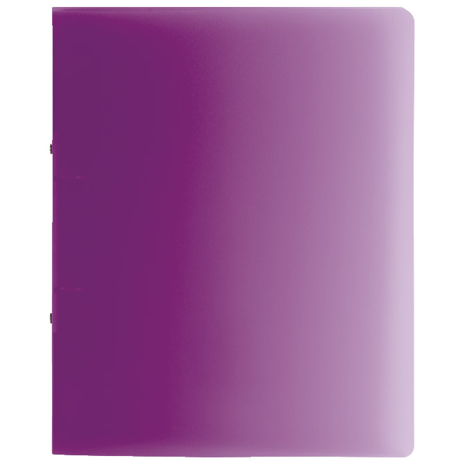 Mapa uložna 2ringa-fi16 mm A4 pp Fact Brunnen 10-65516 98 sort