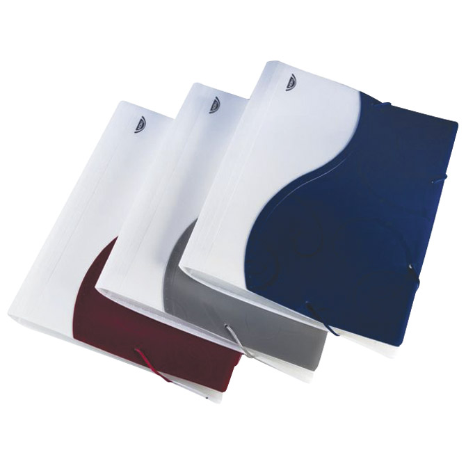 Mapa za kućni budžet 12 pregrada s gumicom A4 Noki S20093 sortirano!!