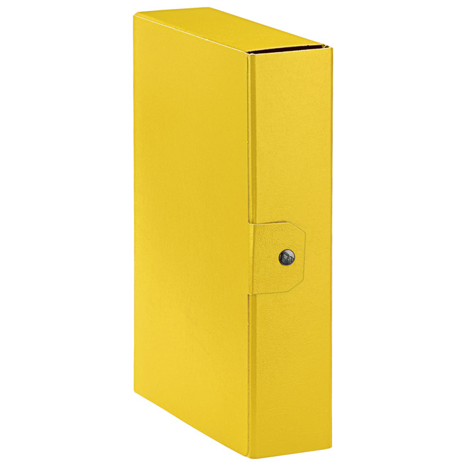 Mapa s gumbom hrbat- 80 mm A4 Eurobox Esselte C2809/390328090 žuta