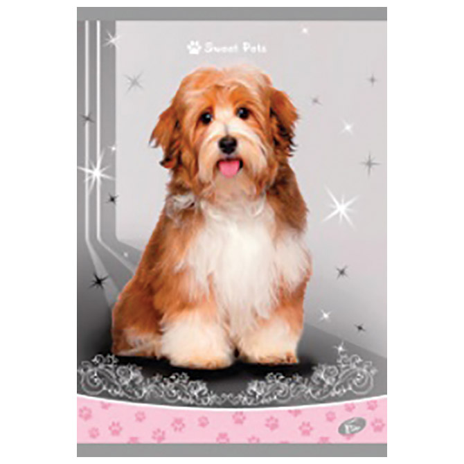 Teka meki uvez A4 crte 40+2L 80g Sweet pets Elisa sortirani motivi!!