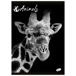 [000026506] Teka meki uvez A4 karo 40+2L 80g Animal Elisa sortirani motivi