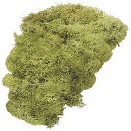 [000026984] Mahovina islandska umjetna 50g Knorr Prandell 21-6694420 svijetlozelena blister