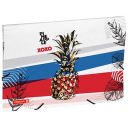 [000027229] Mapa za kućni budžet 12 pregrada s gumicom A4 Reverse 19 Pineapple Brunnen 10-20240 651!!