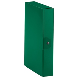 [000036420] Mapa s gumbom hrbat- 60mm A4 Delso line Esselte C8618 zelena!!