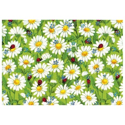 [000037401] Papir ukrasni rola 70x200cm Lucky Meadow Herlitz 40014869!!