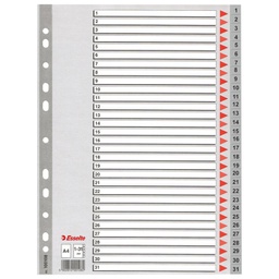 [000037940] Pregrada plastična A4 brojevi 1-31 Esselte 100108 siva