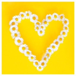 [000040833] Salvete troslojne 33x33cm pk20 Daisies in love Herlitz 11309622!!