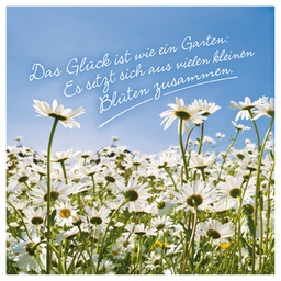 [000040835] Salvete troslojne 33x33cm pk20 Poetry Herlitz 11166337!!