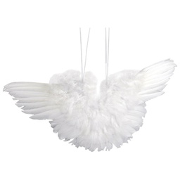 [000041548] Perje Krila 11cm Knorr Prandell 21-8028772!!