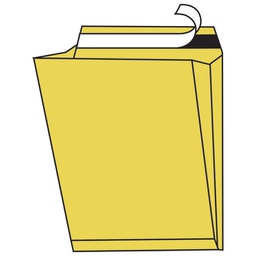 [000000353] Kuverte - vrećice B5-SGŠ havana proširene bočno 100g pk250 Blasetti