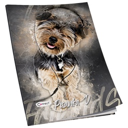 [000003887] Obrazac školski pisanka "D" za 4razred Premium Connect Girl