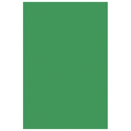 [000004164] Filc ukrasni A4 pk10 Knorr Prandell 21-8436437 zeleni