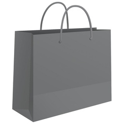[000005758] Vrećice ukrasne 24x16x7 cm sjajna plastifikacija Fornax srebrne
