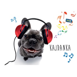 [000006535] Obrazac školski teka notna B5 (16,5X21,6 cm) 16L Educa