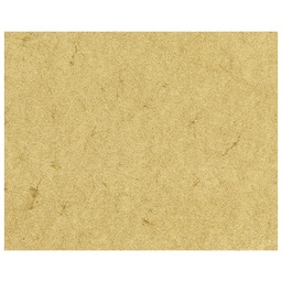 [000007114] Papir ILK Elefant A4 110g pk100 Heyda 20-48310 11 šamoa