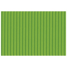 [000007288] Papir ukrasni dvoslojni rebrasti B2 pk10 300g Heyda 20-47132 53 svijetlozeleni