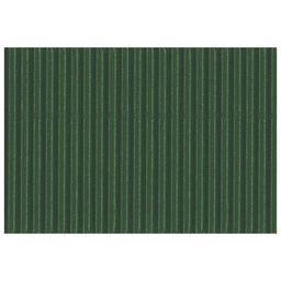 [000007289] Papir ukrasni dvoslojni rebrasti B2 pk10 300g Heyda 20-47132 59 tamnozeleni