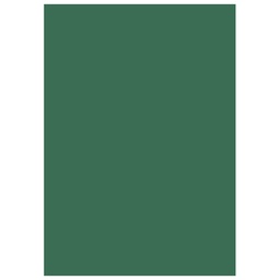 [000007537] Papir u boji A4 300g pk50 Heyda 20-47164 59 tamnozeleni