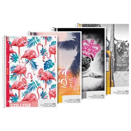 [000008920] Blok kolegij A4 karo  80L perforacija+4rupe Trend Brunnen 10-67928 19 sortirano