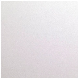 [000011359] Kuverte Special Events 11x22 cm 120g pk10 Favini bijele