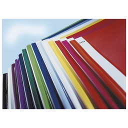 [000013431] Fascikl mehanika euro pvc A4 Leitz 41910101 bijeli