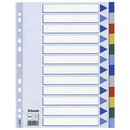 [000013496] Pregrada plastična A4 kolor 12listova Esselte 15262