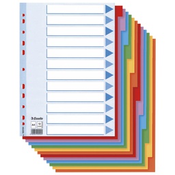 [000001195] Pregrada kartonska A4 kolor 12listova Esselte 100194