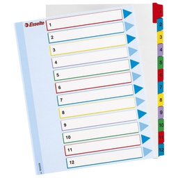 [000001199] Pregrada kartonska presvučena filmom A4 kolor 12L Esselte 100209