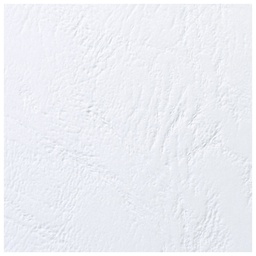 [000024000] Korice za spiralni uvez 250g karton reljefne A4 pk100 GBC CE040070 bijele